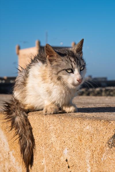 Essaouira, Morocco