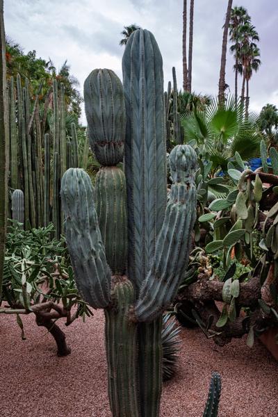 Marrakesh, Morocco
