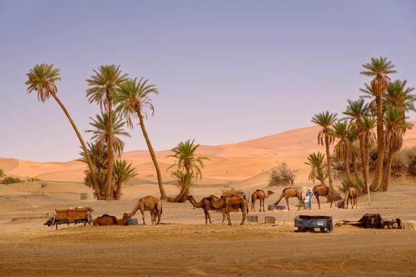 Best of Morocco