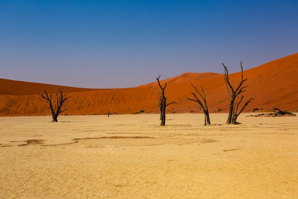 Cape Town to Vic Falls 2019