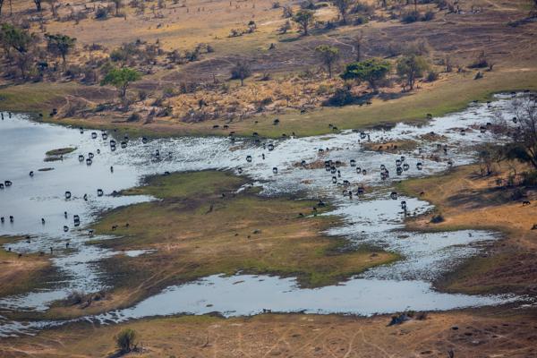Ditshipi, Botswana