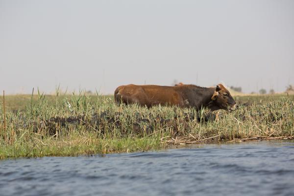 Botswana