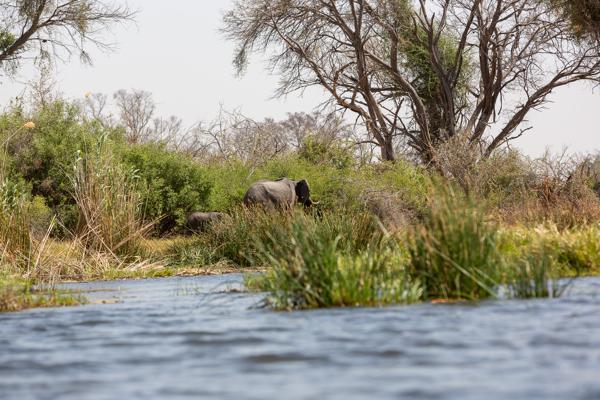 Botswana