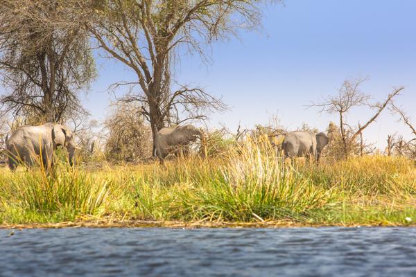 Botswana