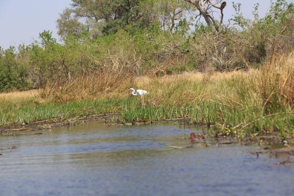 Botswana