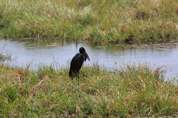 Botswana