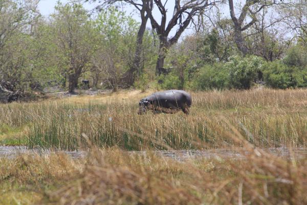 Botswana