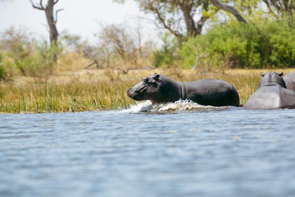 Botswana