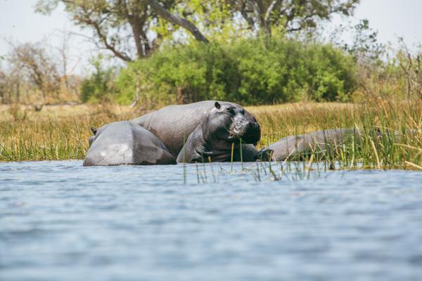 Botswana