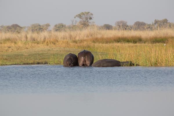 Botswana