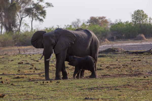 Morutsa, Botswana