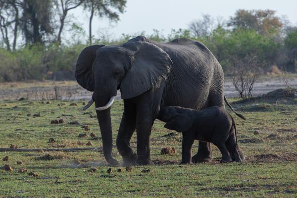 Morutsa, Botswana