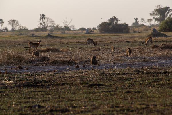 Morutsa, Botswana