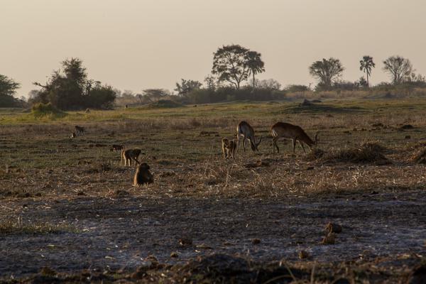 Morutsa, Botswana