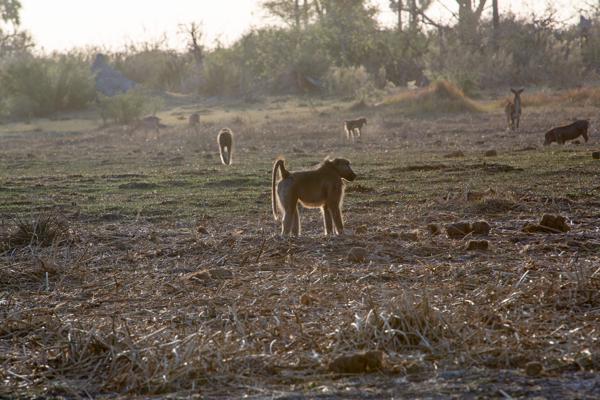 Morutsa, Botswana