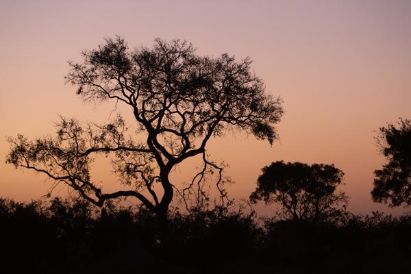 Botswana