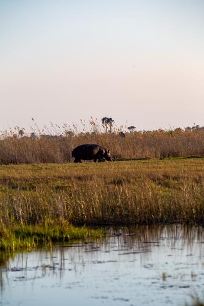 Botswana