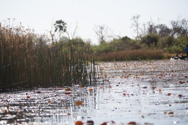 Botswana