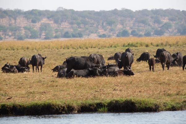 Kasane, Botswana