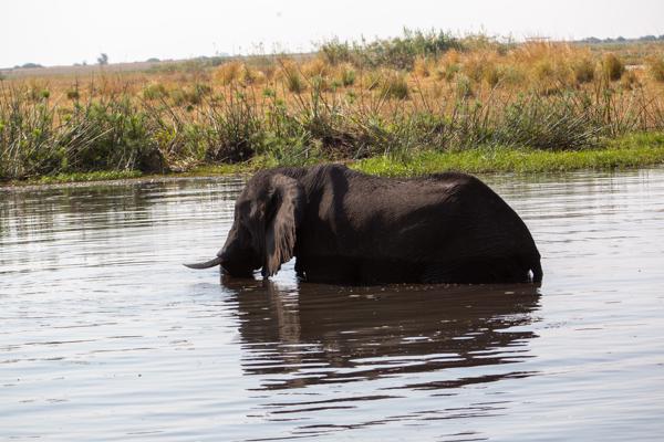 Kasane, Botswana