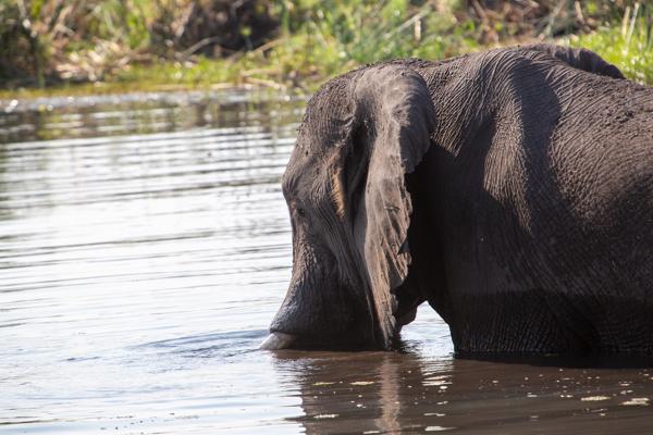 Kasane, Botswana