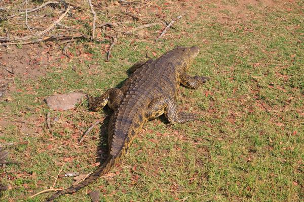 Kasane, Botswana