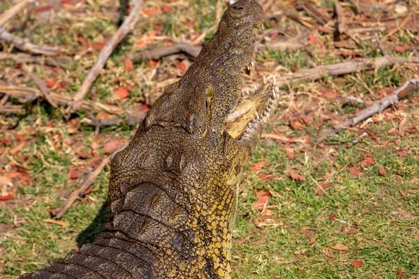 Kasane, Botswana