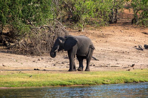 Kasane, Botswana