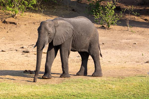 Kasane, Botswana