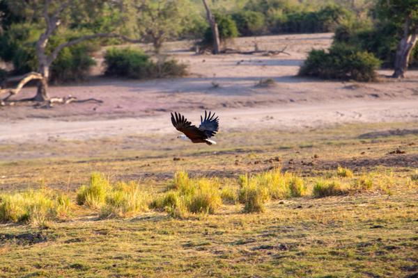 Botswana