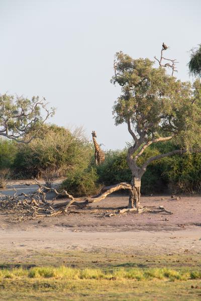 Botswana