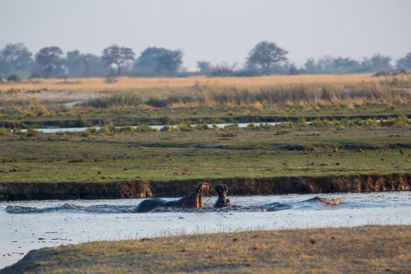 Botswana