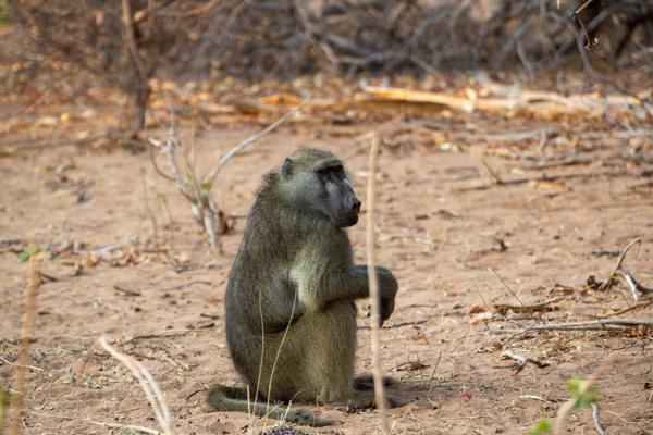 Botswana