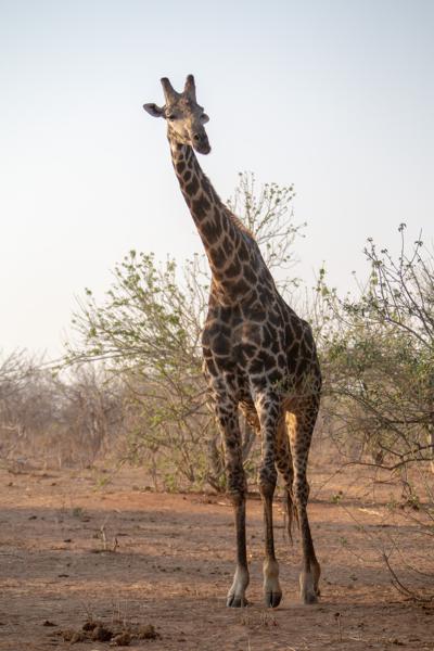 Botswana