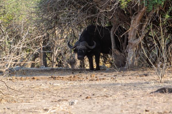 Botswana