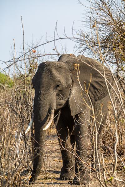 Botswana