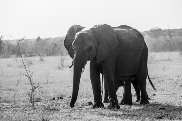 Botswana