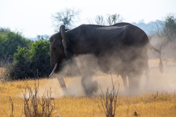 Botswana