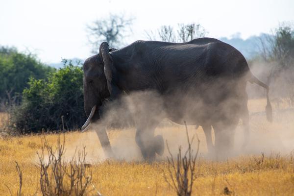 Botswana