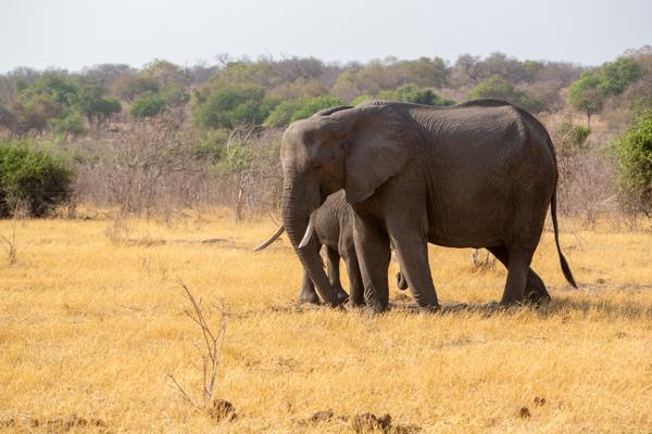 Botswana
