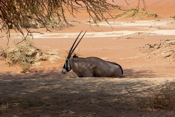 Namibia