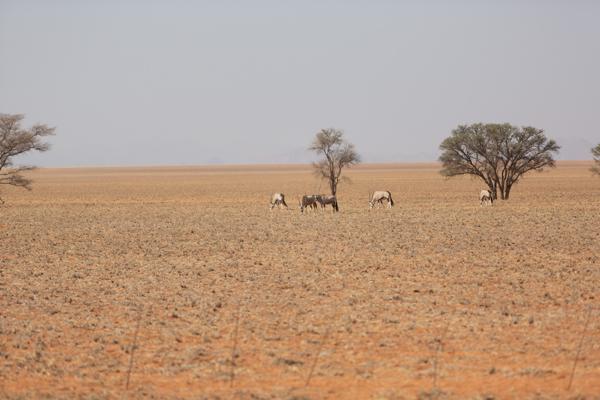 Solitaire, Namibia