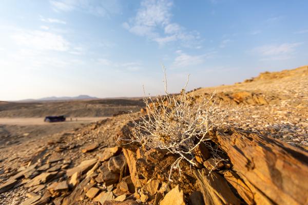 Namibia