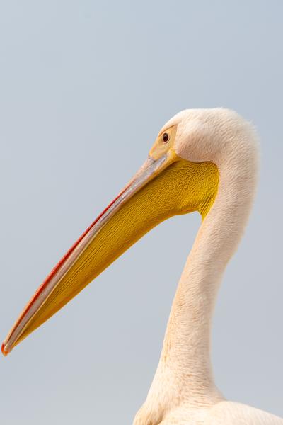 Walvis Bay, Namibia