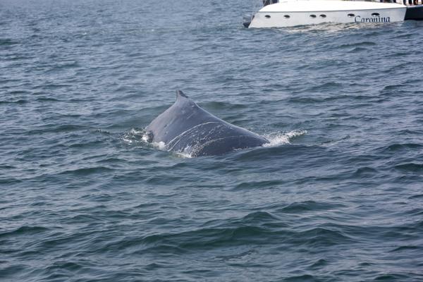Walvis Bay, Namibia