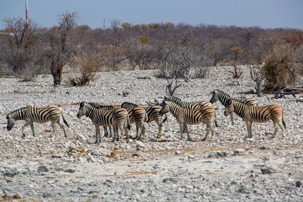 Namibia