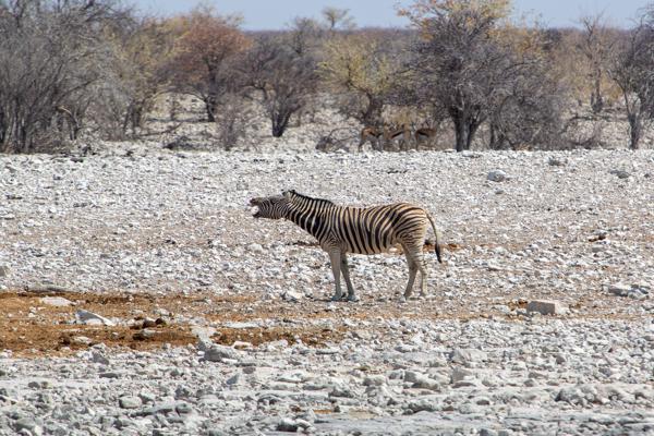 Namibia