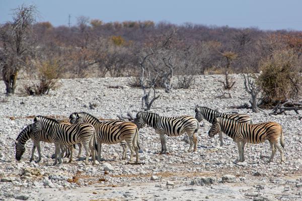 Namibia