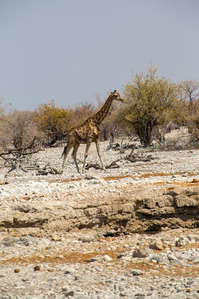 Namibia