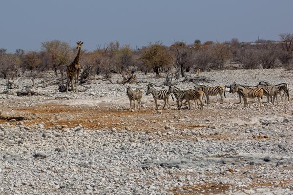 Namibia
